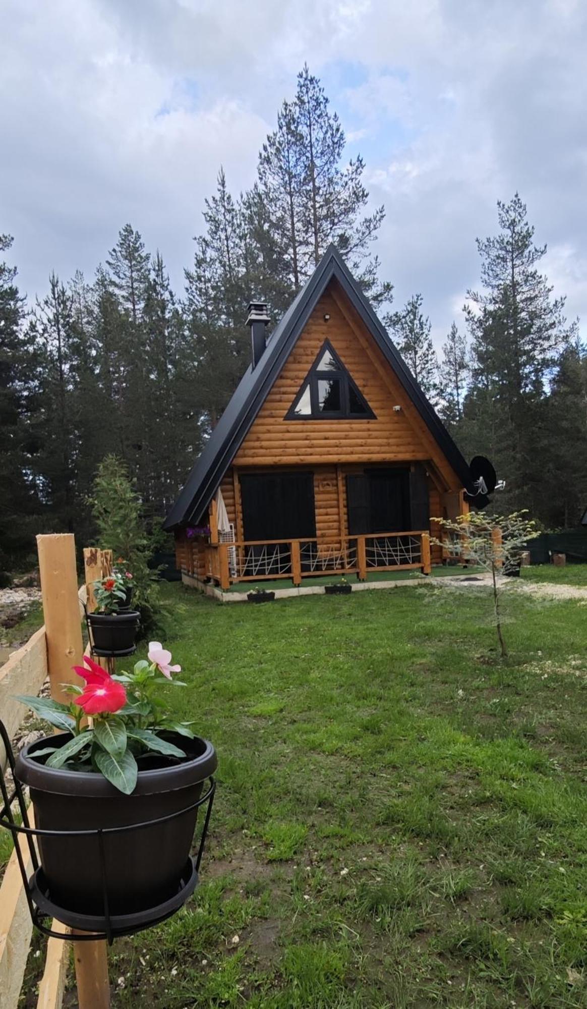 Pine Forest-White Zabljak  Exterior photo