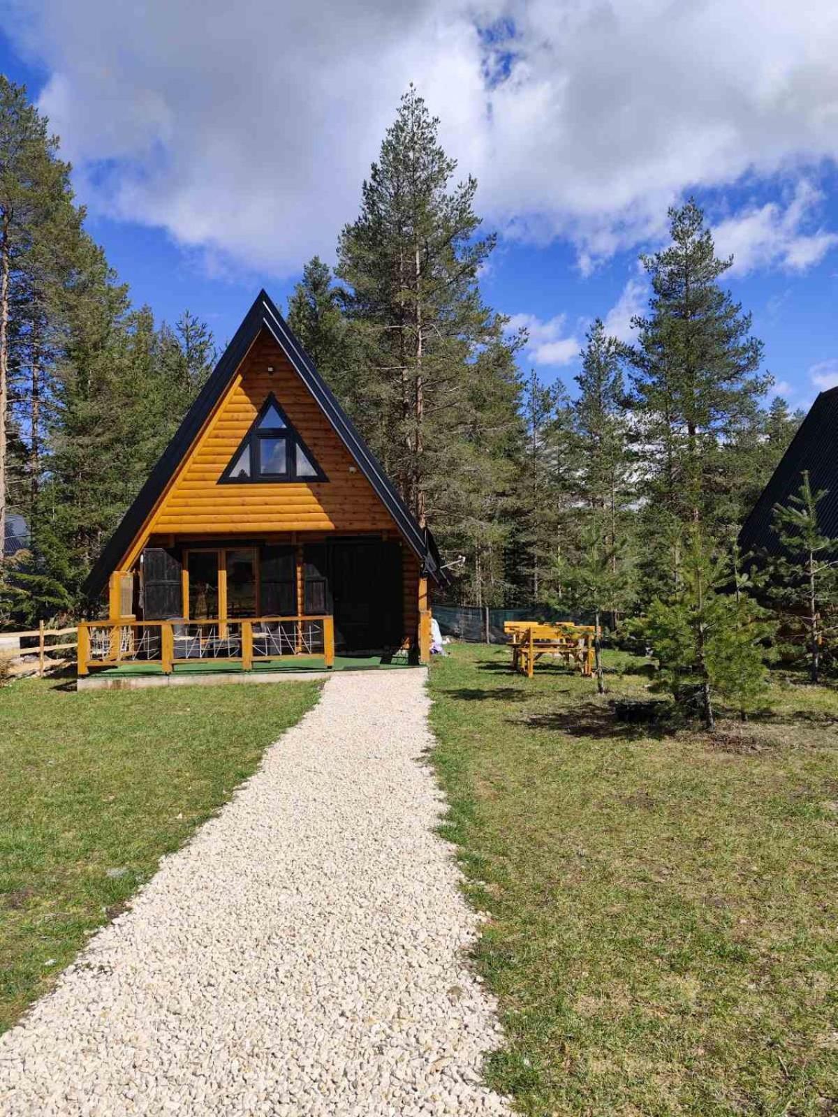 Pine Forest-White Zabljak  Exterior photo