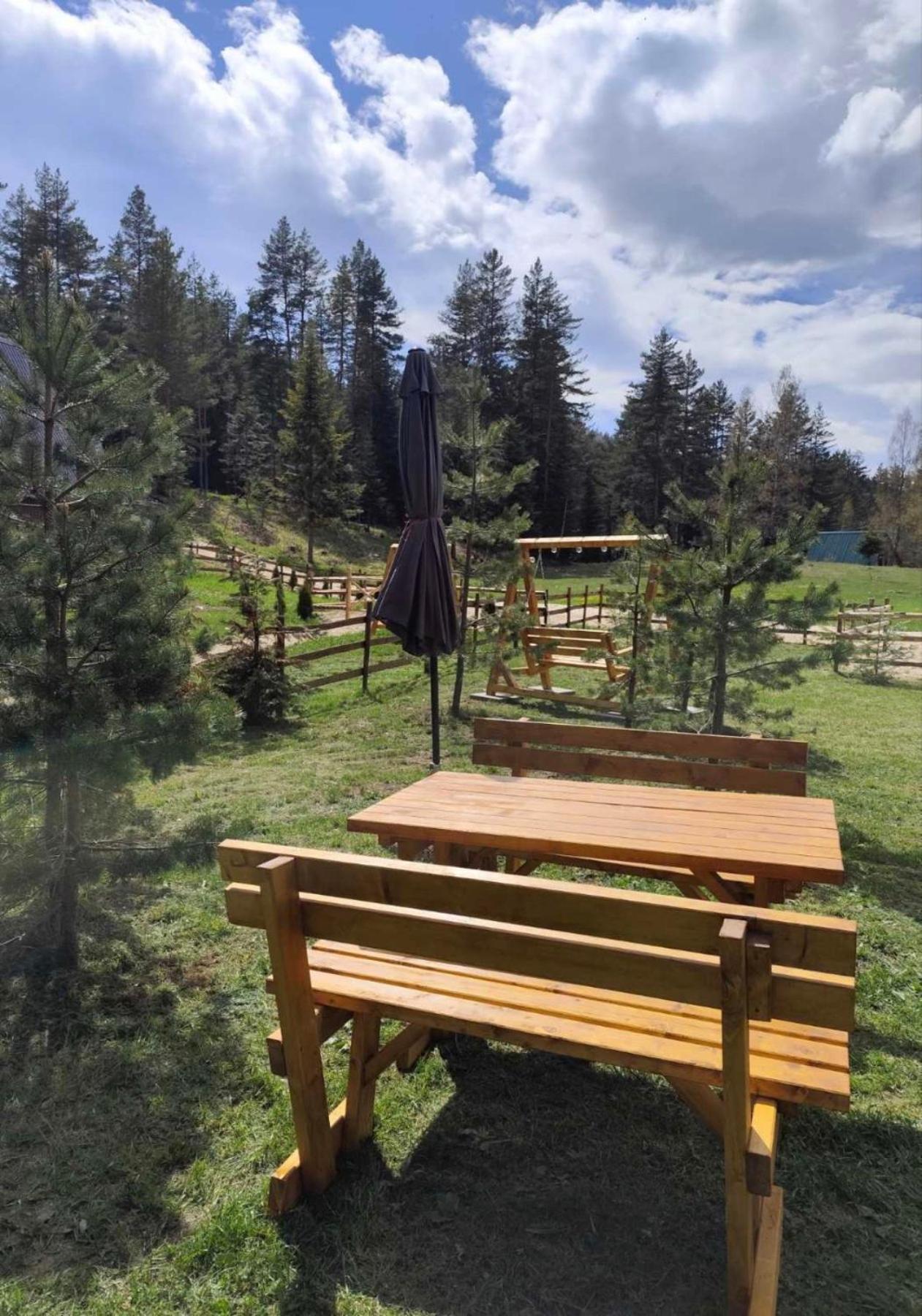 Pine Forest-White Zabljak  Exterior photo