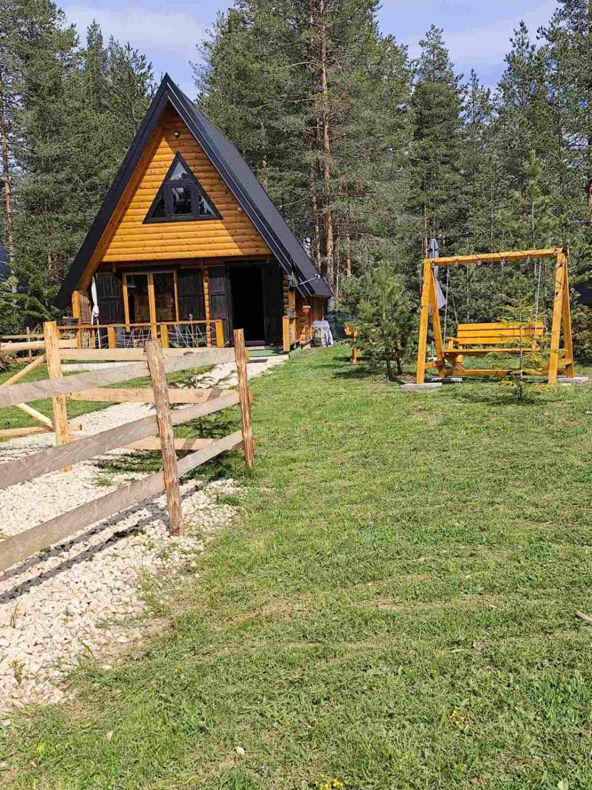Pine Forest-White Zabljak  Exterior photo